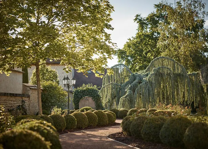 Como Le Montrachet